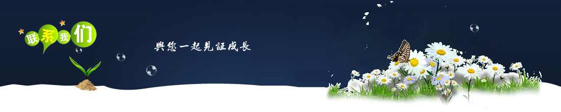網(wǎng)站建設技巧